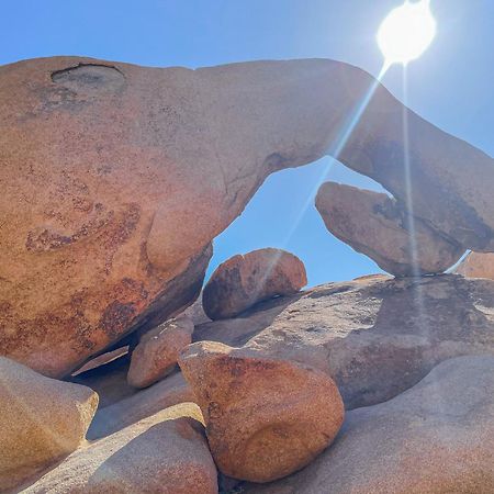 New Property! The Cactus Villas At Joshua Tree National Park - Pool, Hot Tub, Outdoor Shower, Fire Pit Twentynine Palms Dış mekan fotoğraf