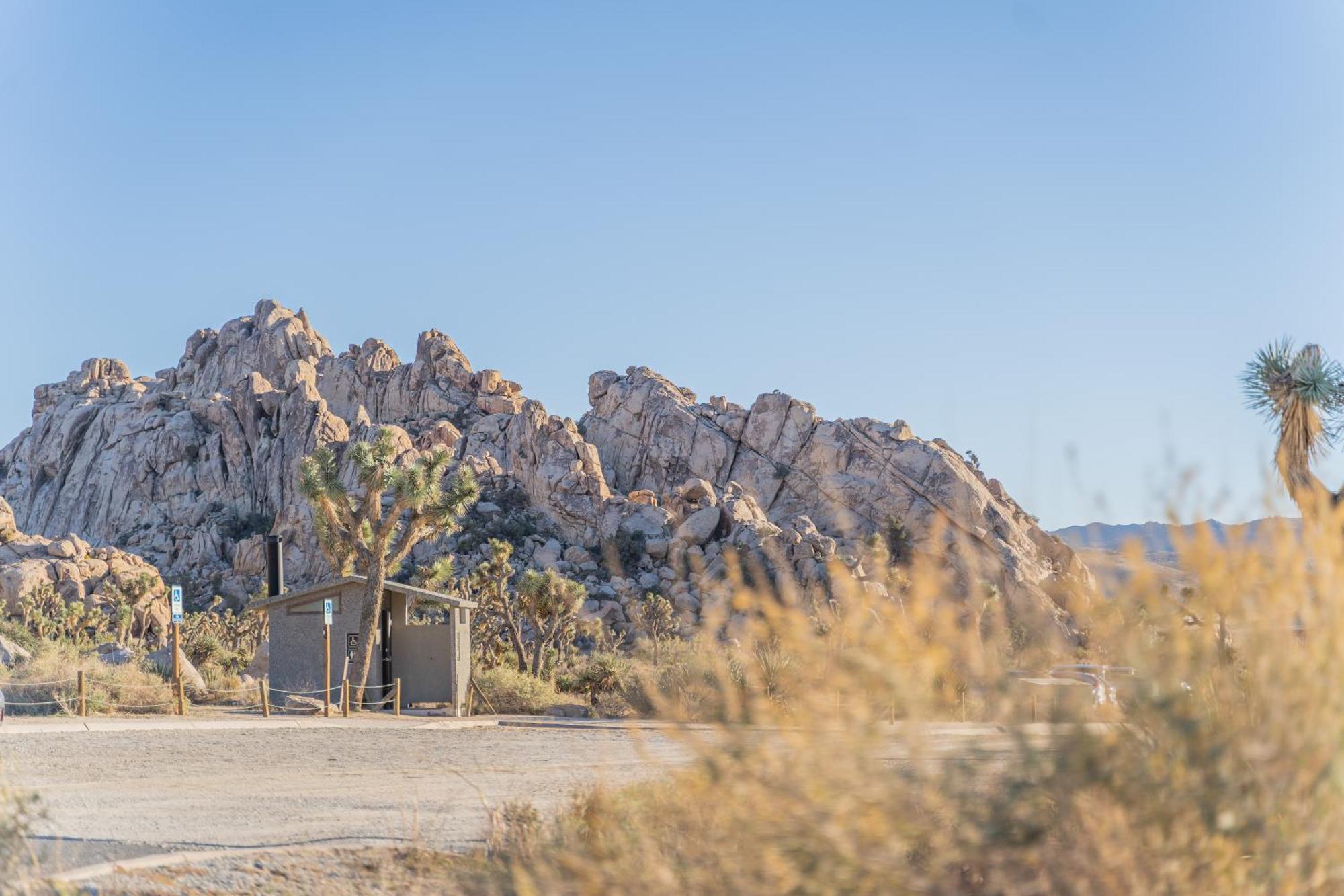 New Property! The Cactus Villas At Joshua Tree National Park - Pool, Hot Tub, Outdoor Shower, Fire Pit Twentynine Palms Dış mekan fotoğraf