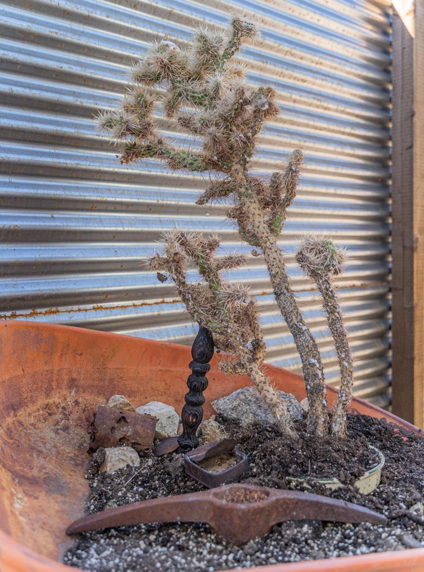 New Property! The Cactus Villas At Joshua Tree National Park - Pool, Hot Tub, Outdoor Shower, Fire Pit Twentynine Palms Oda fotoğraf
